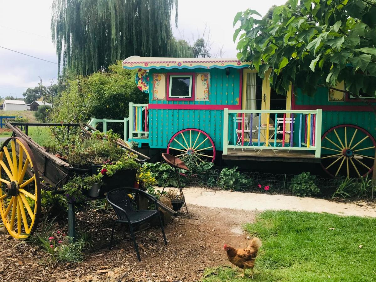 Apartmán The Gypsy Rose Wagon Balingup Exteriér fotografie